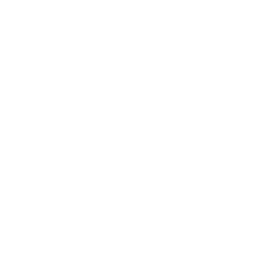 pimaxcar group